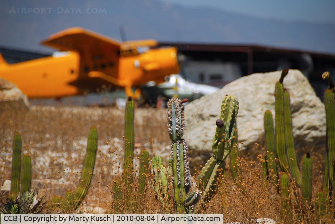 Cable Airport (CCB) - Fuel Island cactus patch.