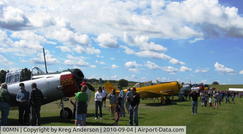Battle Lake Municipal Airport (00MN) - A view of the warbird lineup at the 4th annual Gerry Beck Memorial Fly-in in Battle Lake, MN.