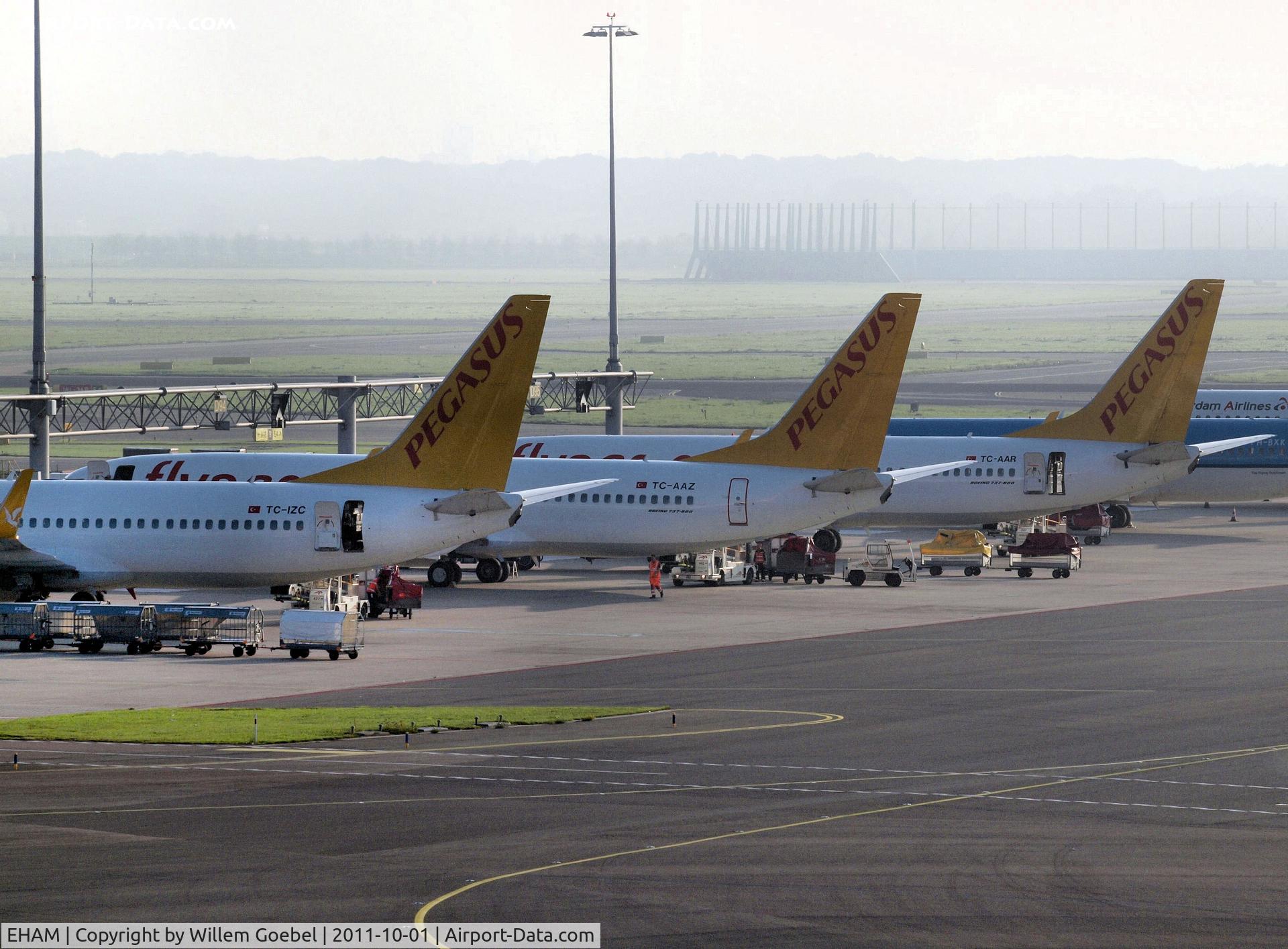 Amsterdam Schiphol Airport, Haarlemmermeer, near Amsterdam Netherlands (EHAM) - A part of the Pegasus fleet on Schiphol Airport