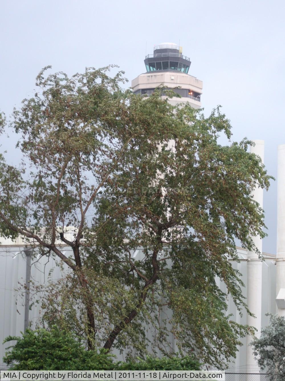 Miami International Airport (MIA) - Miami tower peaking behind trees from 25th St photo holes