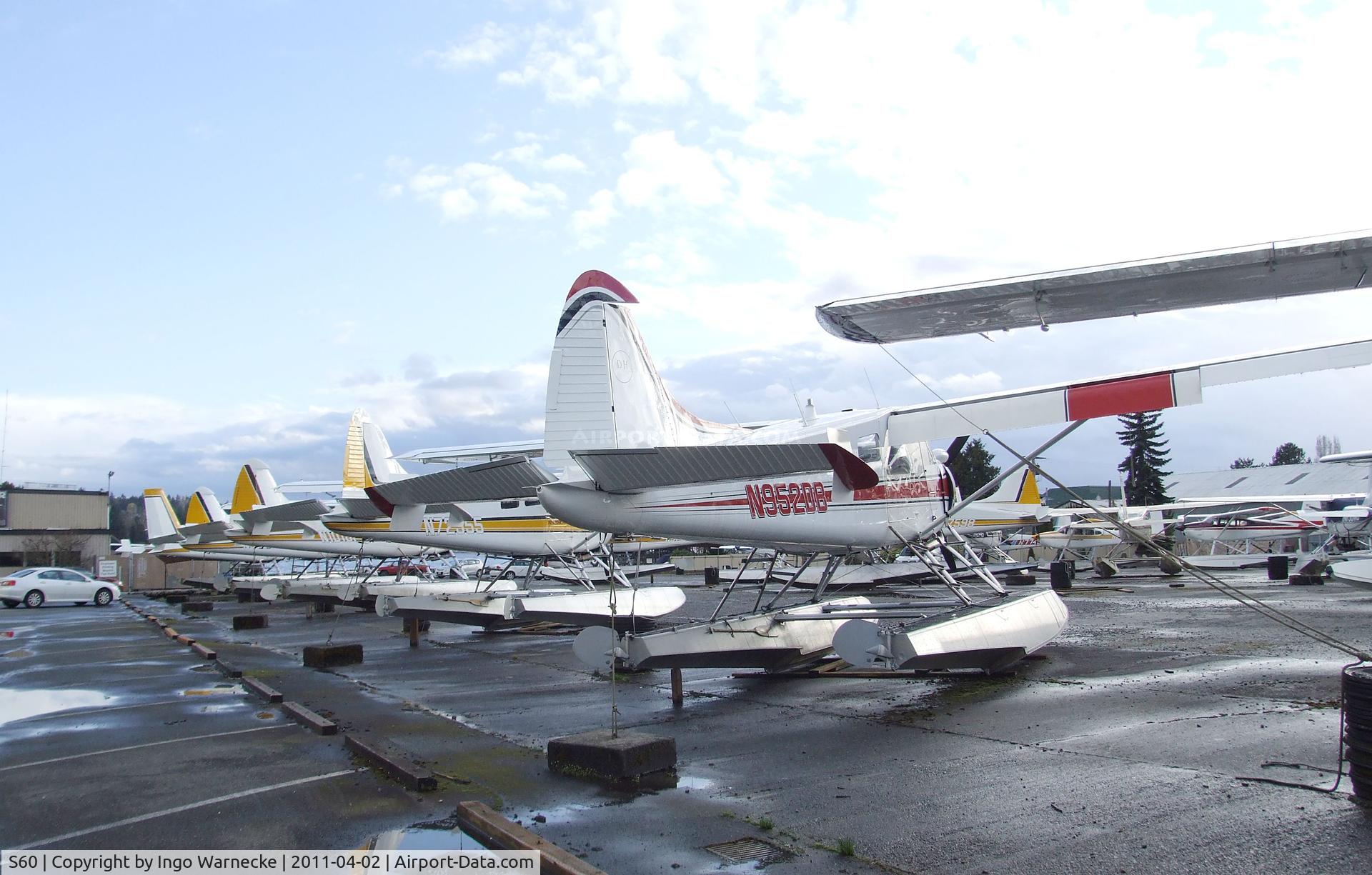 Kenmore Air Harbor Inc Seaplane Base (S60) - lots of floatplanes at Kenmore Air Harbor