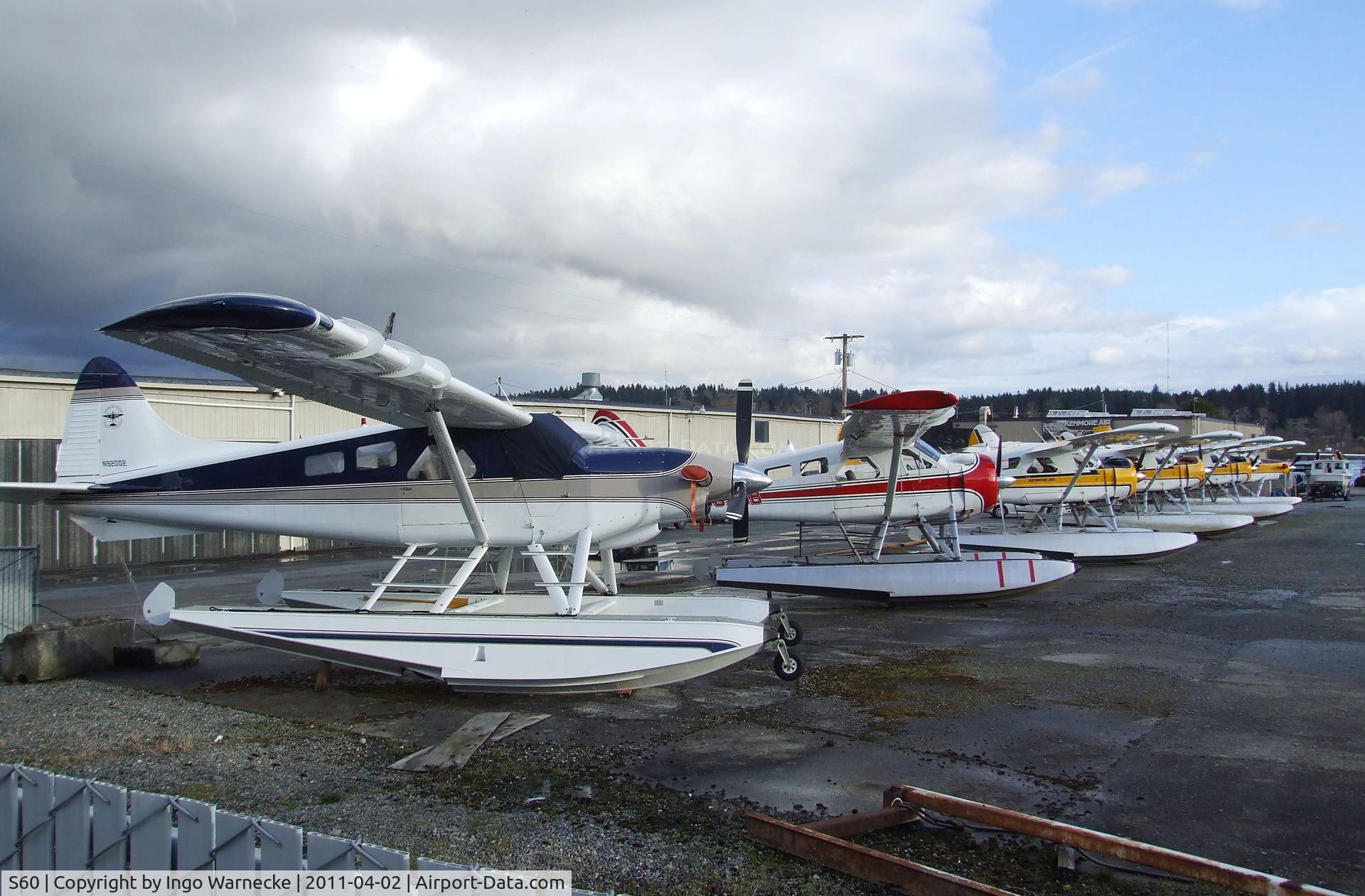 Kenmore Air Harbor Inc Seaplane Base (S60) - lots of floatplanes at Kenmore Air Harbor