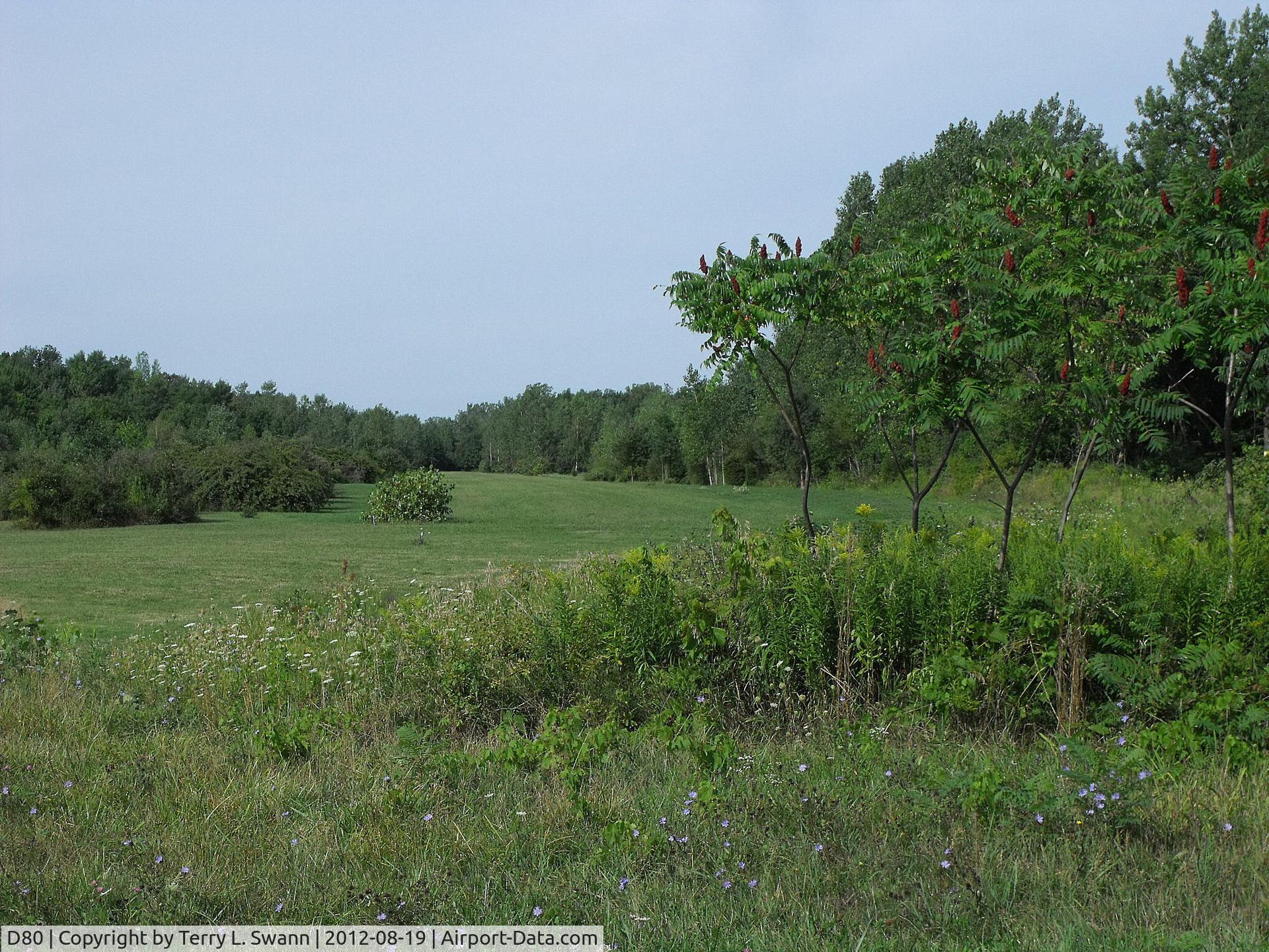 Olcott-newfane Airport (D80) - Looking down the other runway. This airport may be open again. 