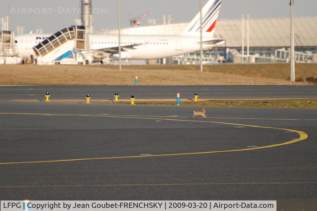 Paris Charles de Gaulle Airport (Roissy Airport), Paris France (LFPG) - Bugs Bunny