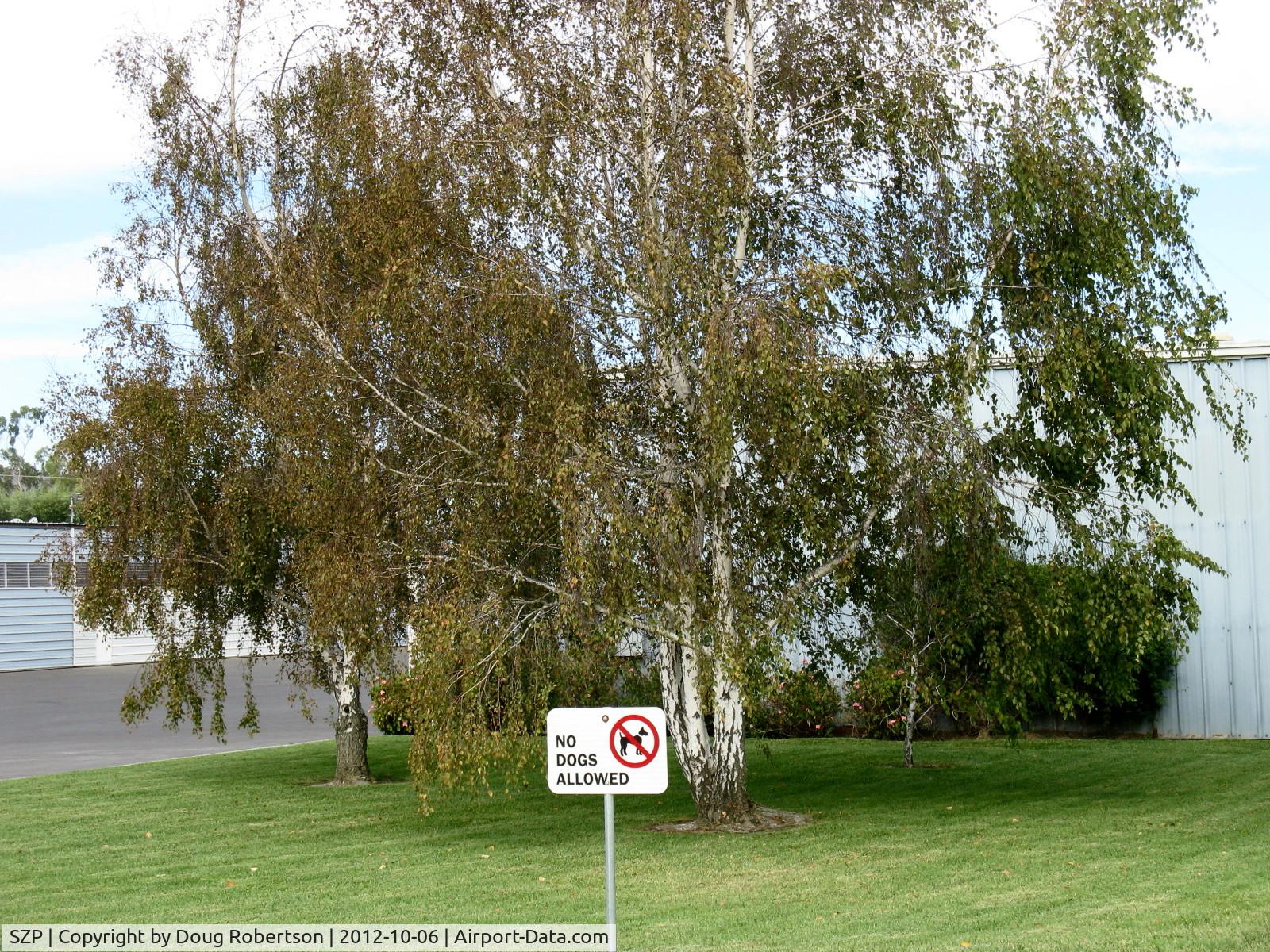 Santa Paula Airport (SZP) - Posted: No Dogs Allowed on Grass