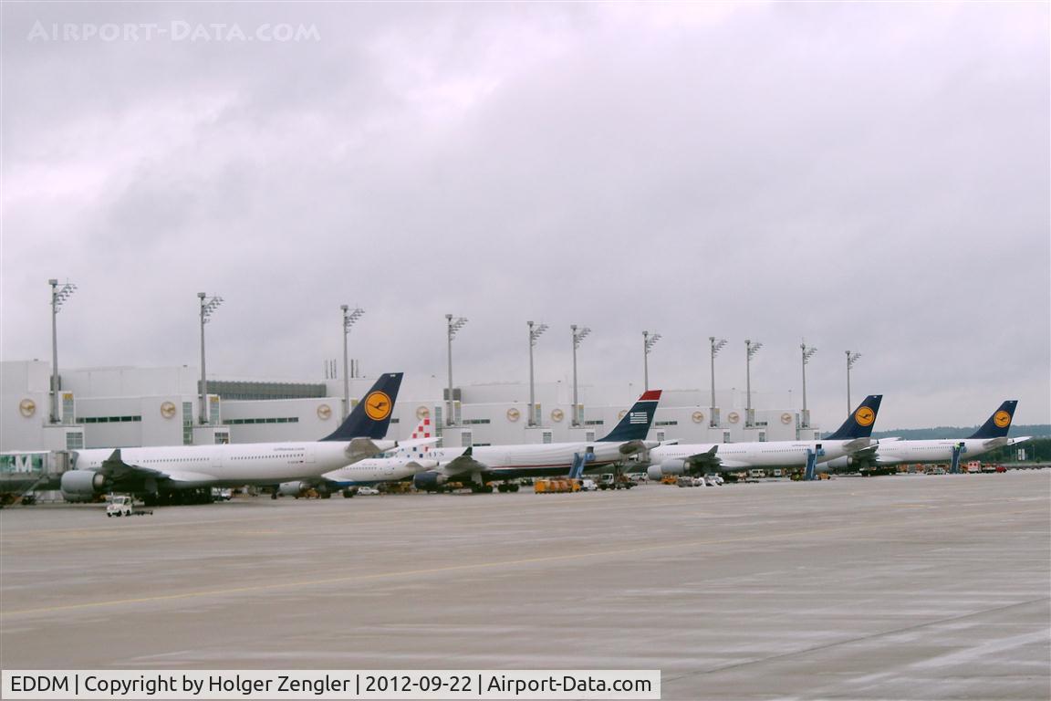 Munich International Airport (Franz Josef Strauß International Airport), Munich Germany (EDDM) - From gate 210 downwards some big birds......