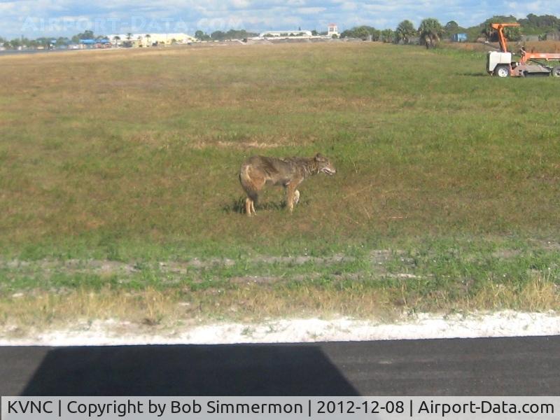 Venice Municipal Airport (VNC) - Wile E Coyote...