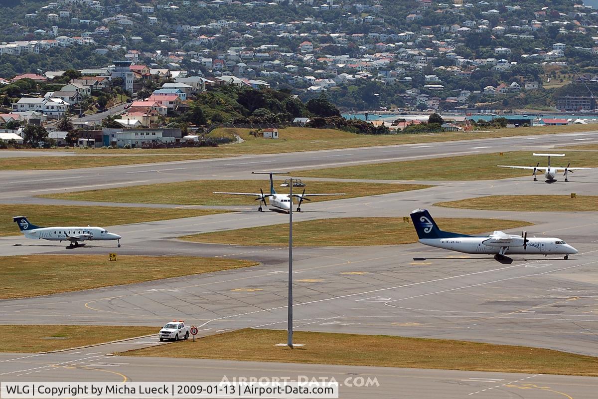 Wellington International Airport, Wellington New Zealand (WLG) - Busy day for Air NZ regionals
