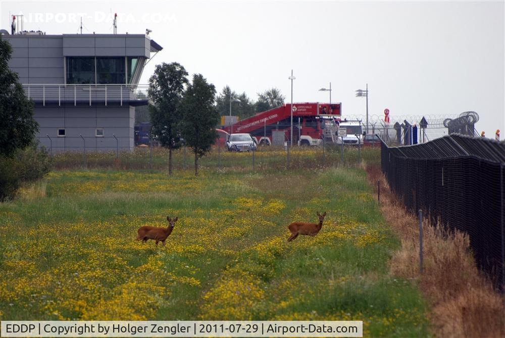 Leipzig/Halle Airport, Leipzig/Halle Germany (EDDP) - Rendezvous at fire training area north of runway 08L/26R....
