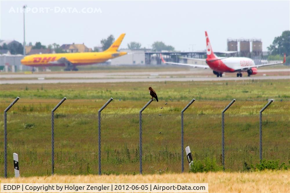 Leipzig/Halle Airport, Leipzig/Halle Germany (EDDP) - A buzzard is keeping an eye on those big brothers in the back.....