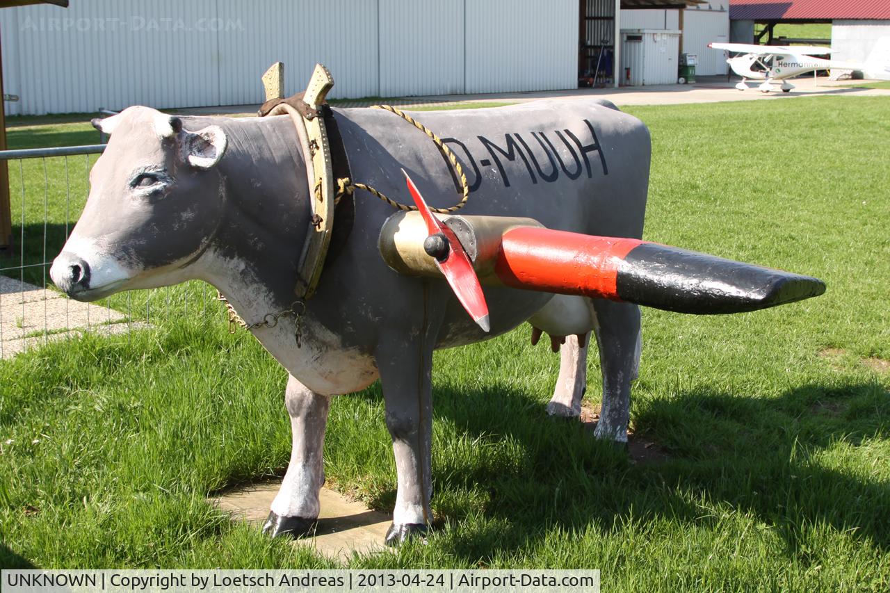UNKNOWN Airport - Airport Cow at Wildberg Airfield, Germany