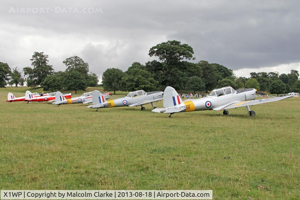 X1WP Airport - Chipmunk line-up at The De Havilland Moth Club's 28th International Moth Rally at Woburn Abbey Park. August 2013.