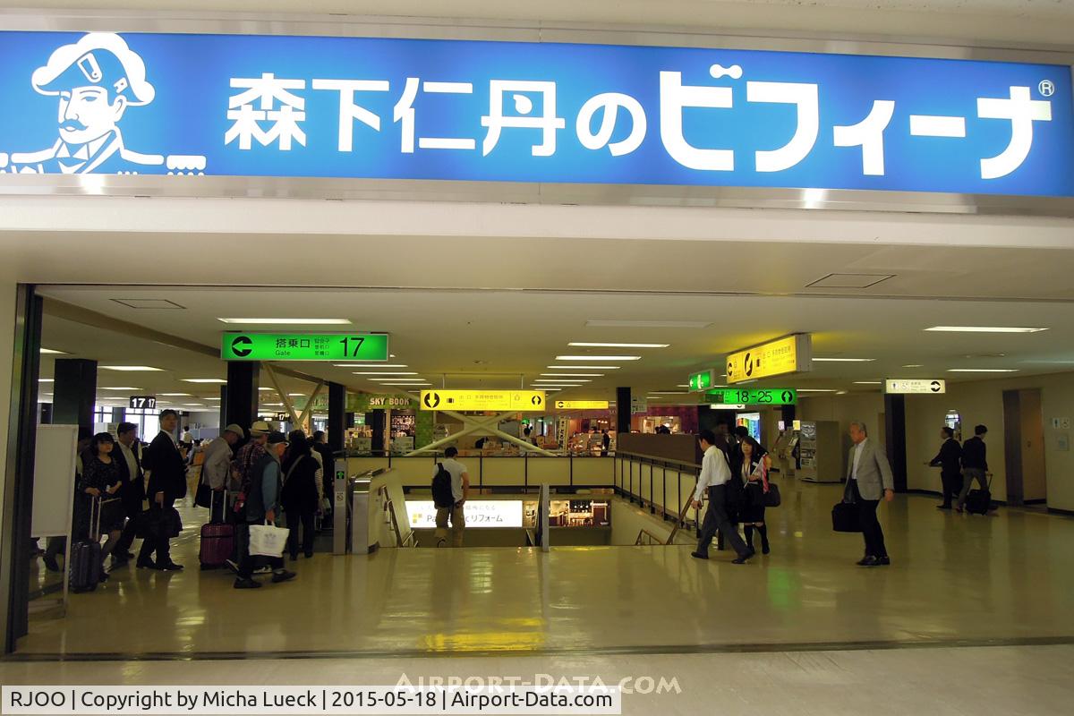 Osaka International Airport (Itami), Itami, Hyogo Japan (RJOO) - arriving at Itami