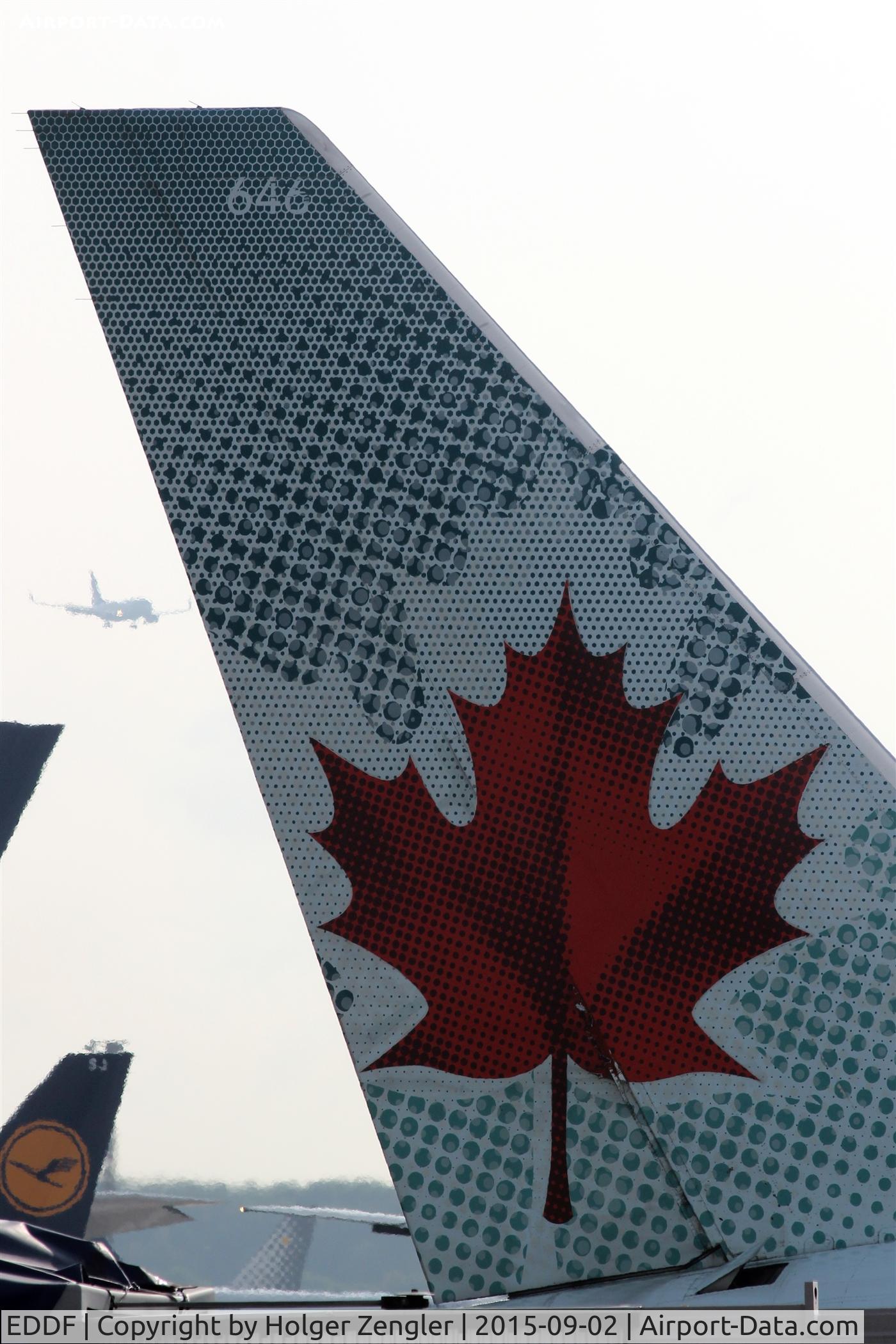 Frankfurt International Airport, Frankfurt am Main Germany (EDDF) - Maple leaf still life on FRA...