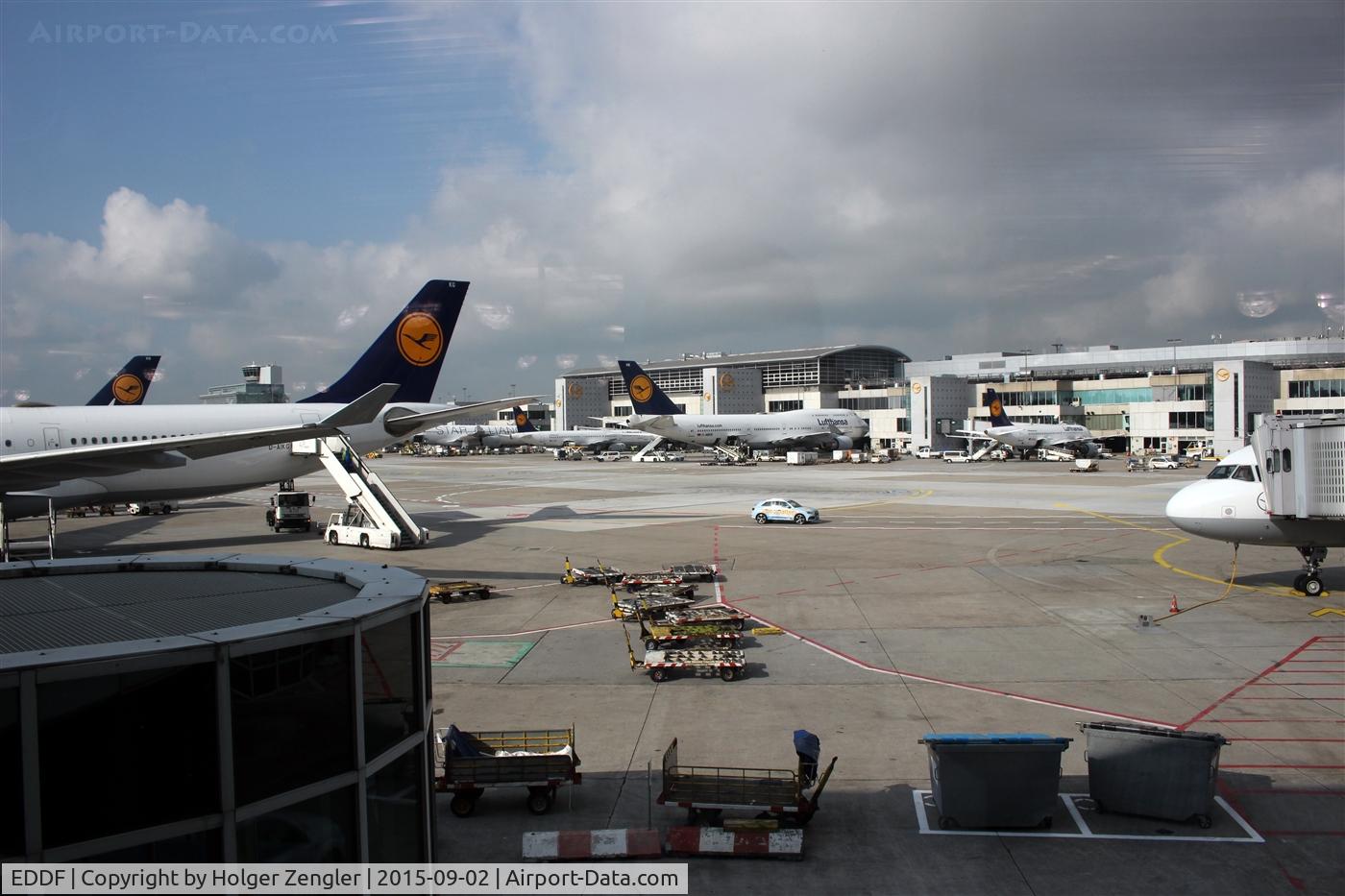 Frankfurt International Airport, Frankfurt am Main Germany (EDDF) - Situation at terminal 1.....