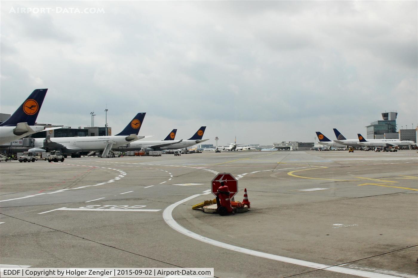Frankfurt International Airport, Frankfurt am Main Germany (EDDF) - This apron is crowded only by Lufthansa. True or false?