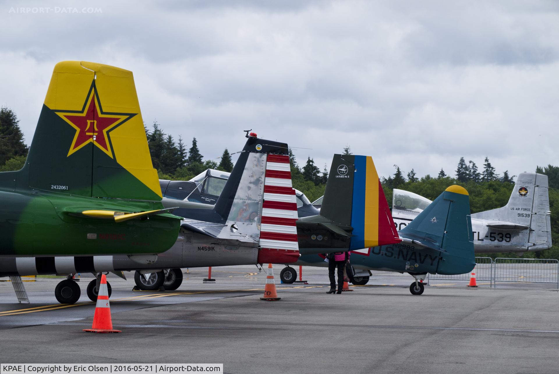Snohomish County (paine Fld) Airport (PAE) - Lineup of various aircraft belonging to members of the Cascade Warbirds at the 2016 Paine Field General Aviation Day.