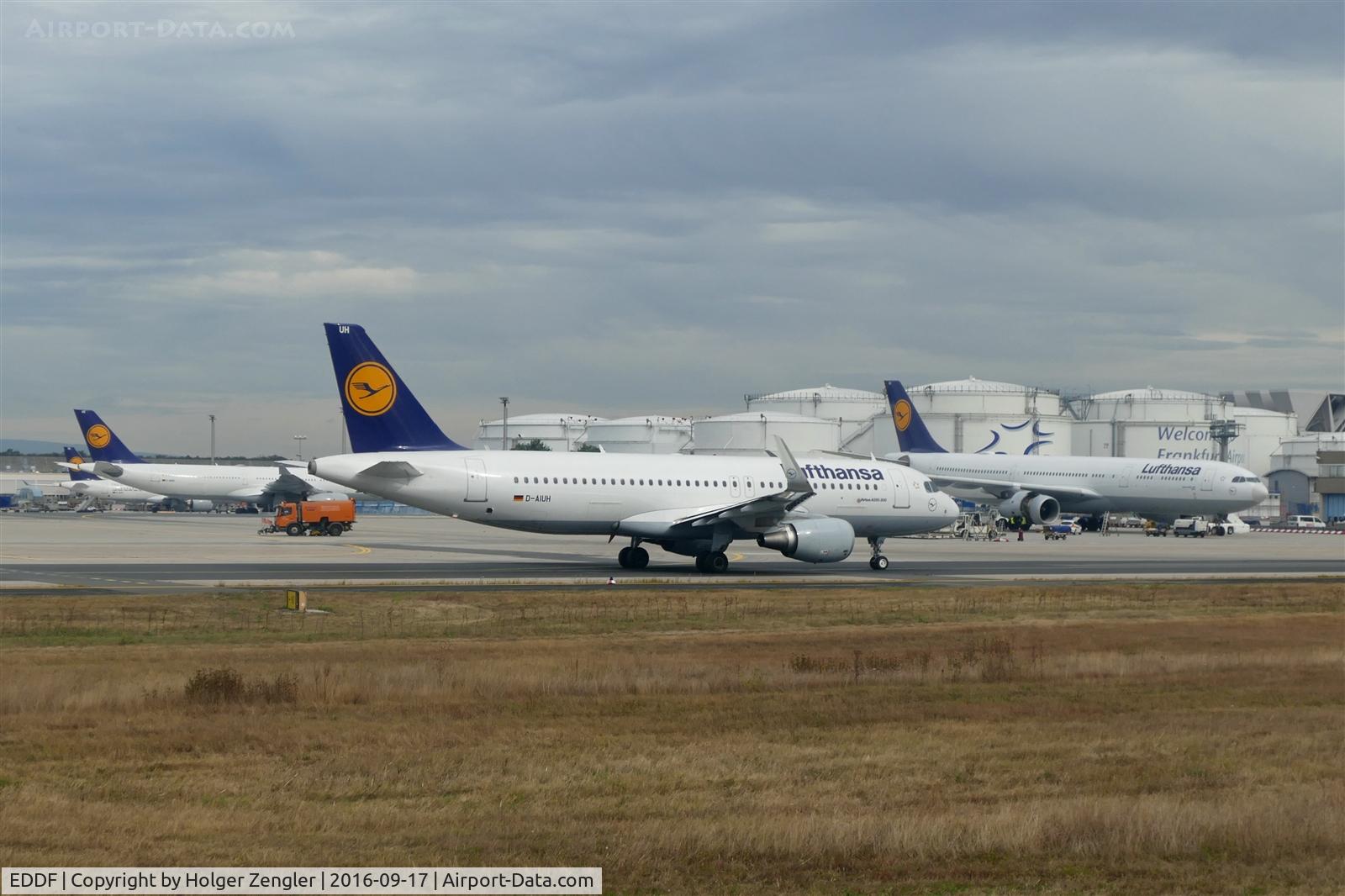 Frankfurt International Airport, Frankfurt am Main Germany (EDDF) - No doubt, it´s Lufthansa area....