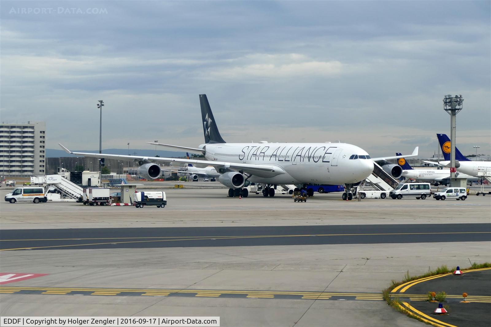 Frankfurt International Airport, Frankfurt am Main Germany (EDDF) - Lufthansa´s Star Alliance corner....