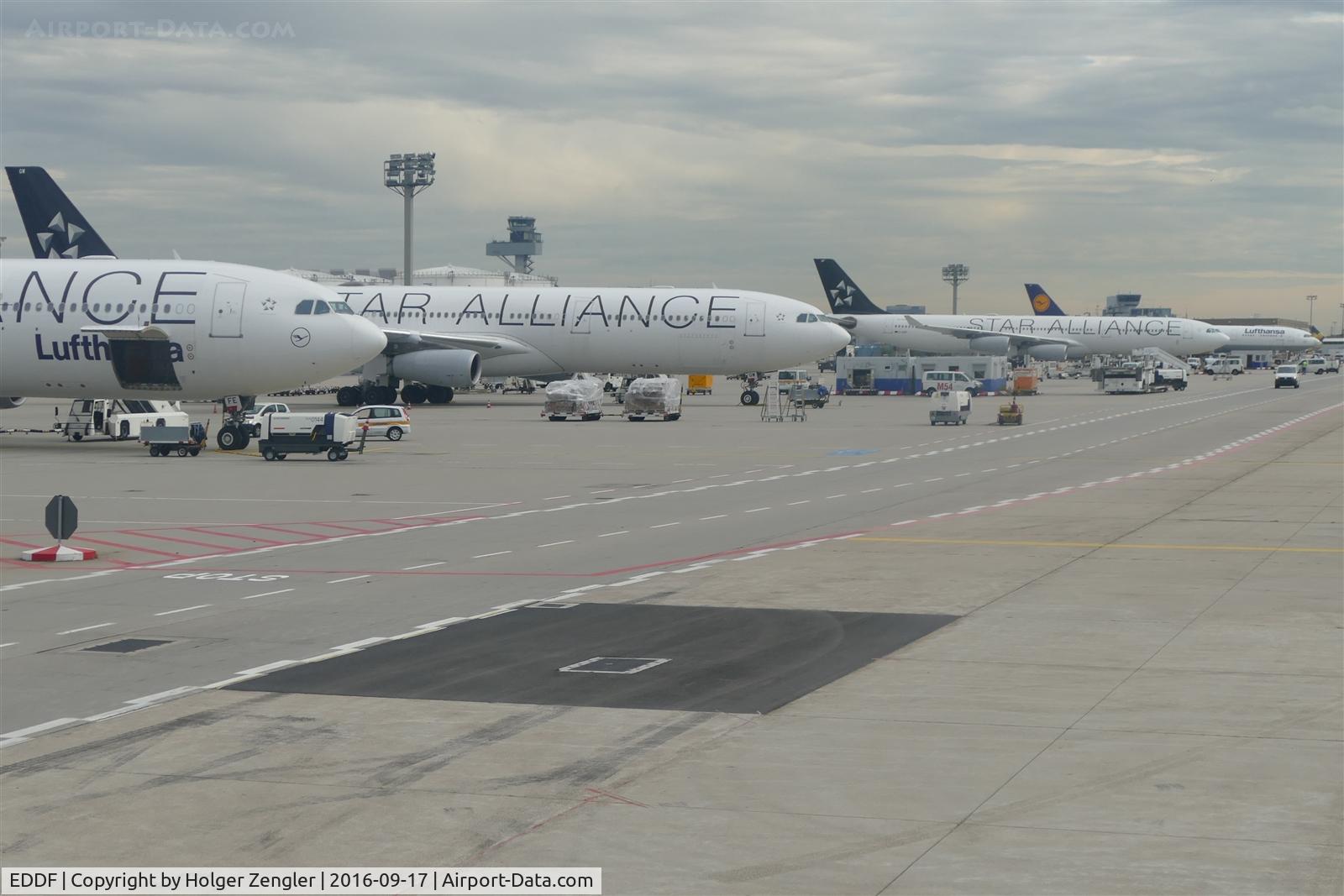Frankfurt International Airport, Frankfurt am Main Germany (EDDF) - Line of Star Alliance jets, operated by Lufthansa.....