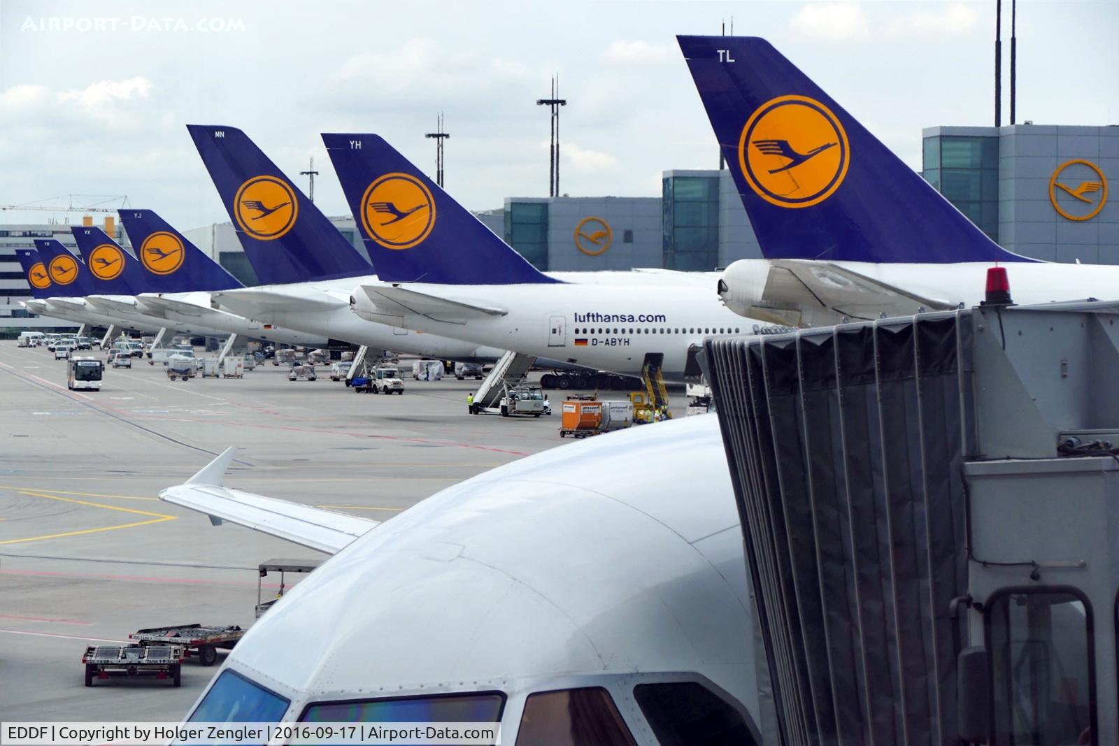 Frankfurt International Airport, Frankfurt am Main Germany (EDDF) - No doubt, this is homeland of Lufthansa....