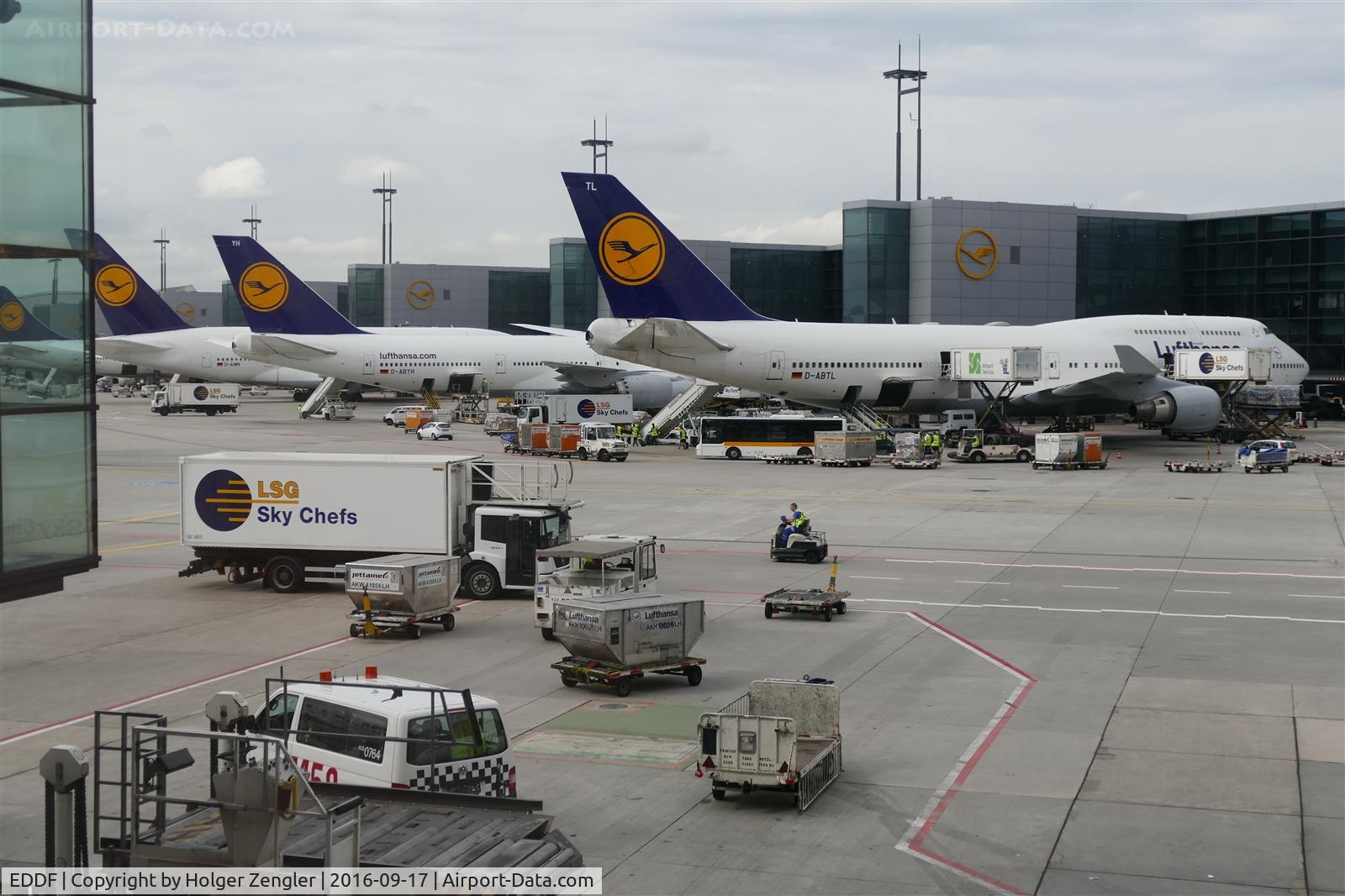Frankfurt International Airport, Frankfurt am Main Germany (EDDF) - Lufthansa as far as your eye can see.....