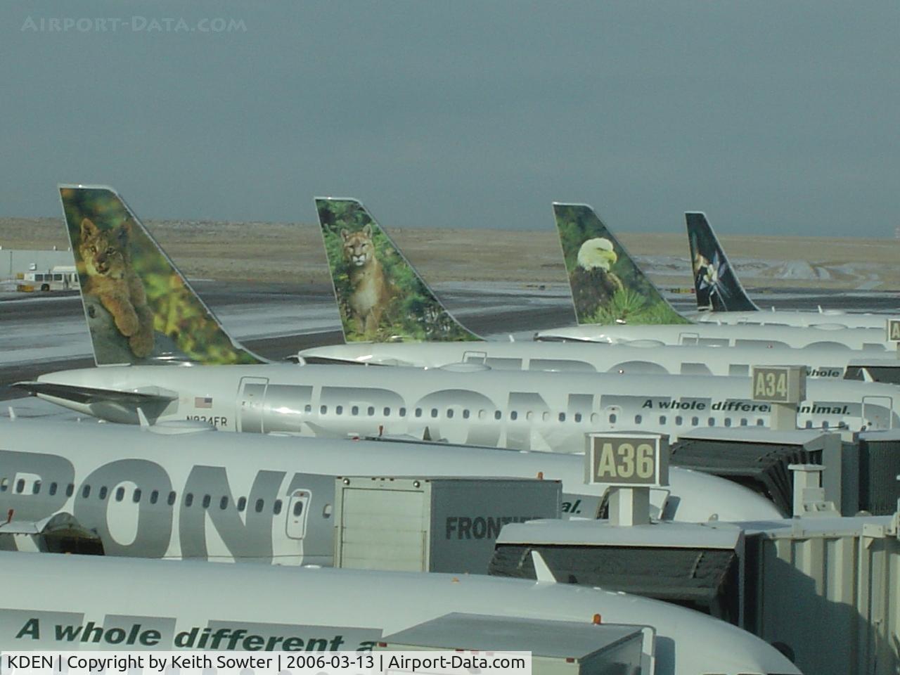Denver International Airport (DEN) - View from the air bridge
