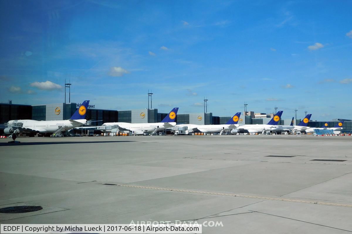 Frankfurt International Airport, Frankfurt am Main Germany (EDDF) - Amazing line-up of VLAs (B747-8i and A380)