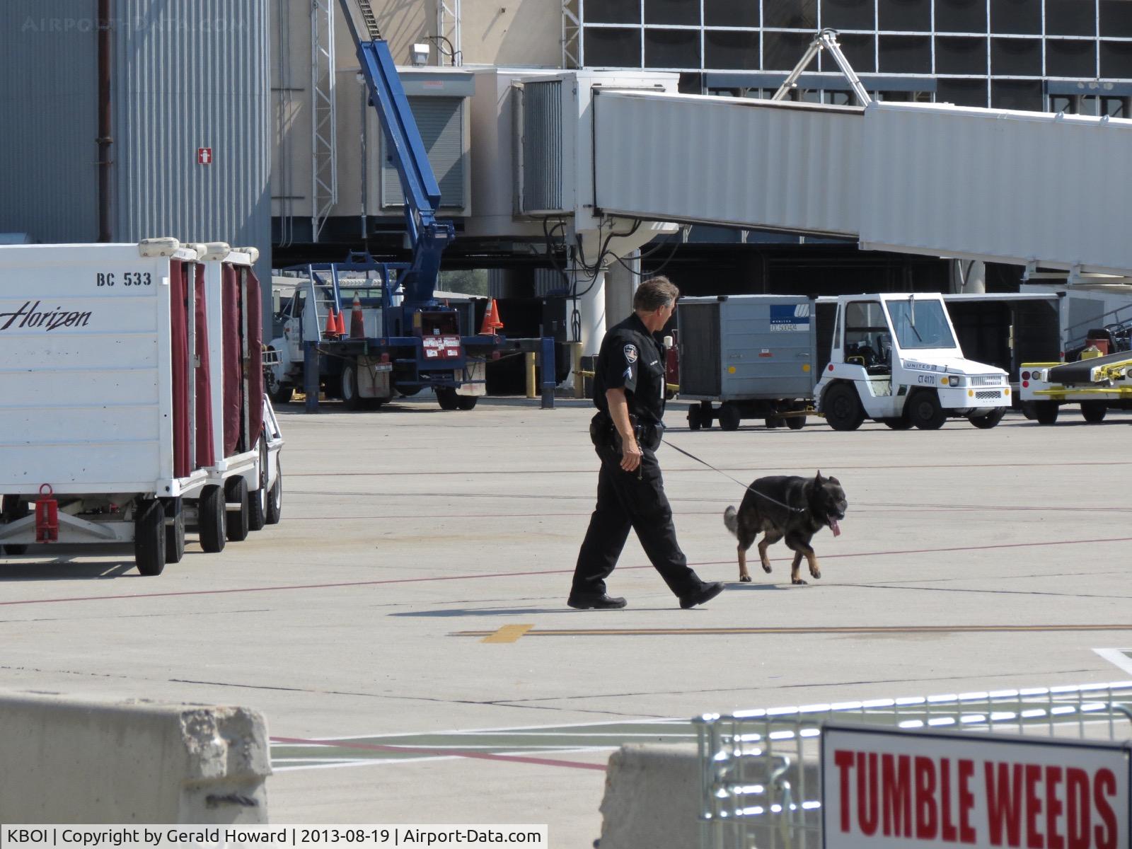 Boise Air Terminal/gowen Fld Airport (BOI) - Boise Police explosive detection dog training on the commercial ramp.