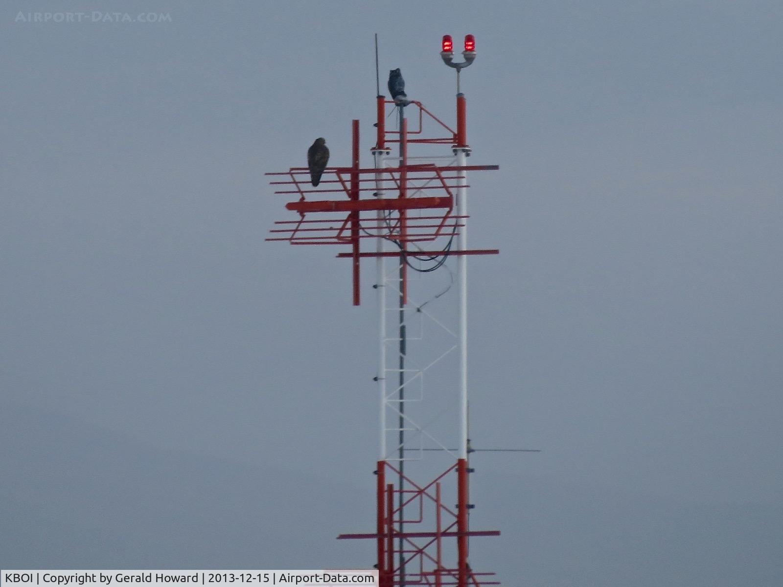 Boise Air Terminal/gowen Fld Airport (BOI) - The fake owl on top always seems to draw company.