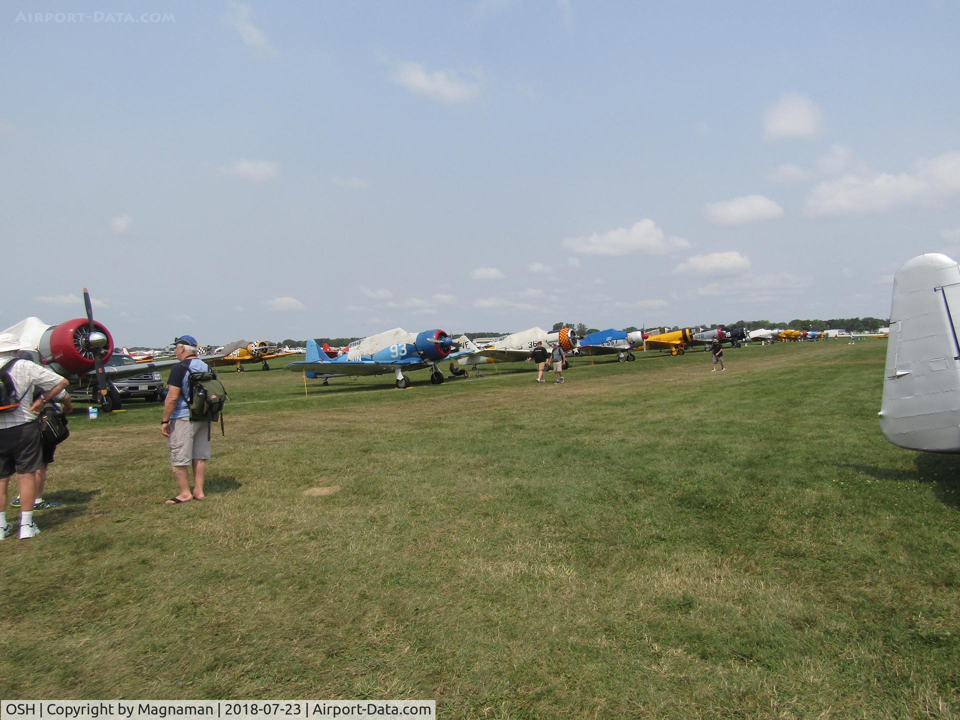 Wittman Regional Airport (OSH) - just some of the harvards at EAA 18