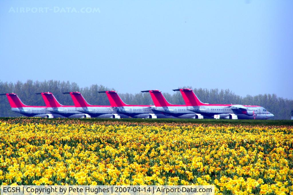 Norwich International Airport, Norwich, England United Kingdom (EGSH) - stored 146 fleet at Norwich - one of my favourite photos with the daffodil foreground