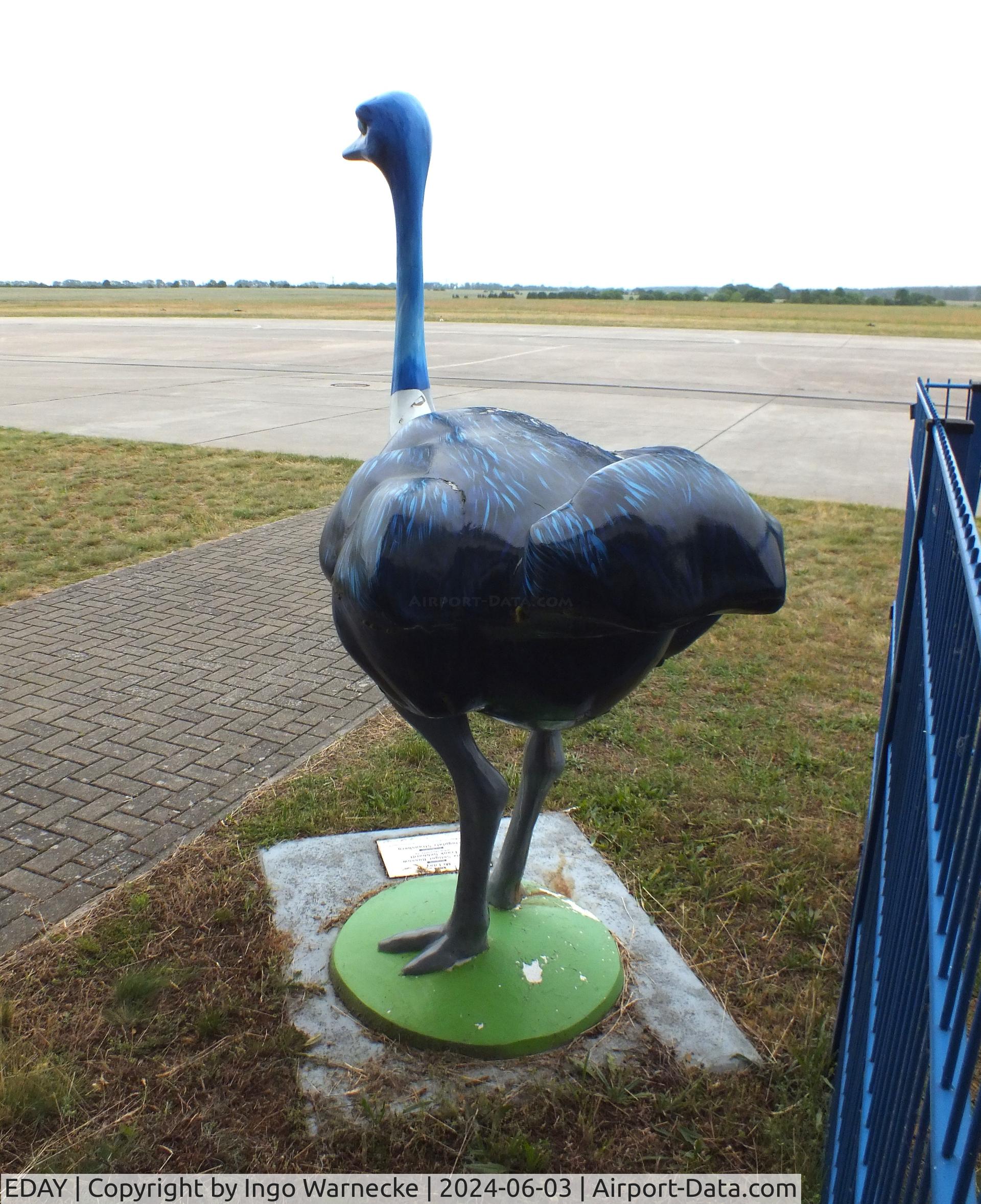 EDAY Airport - Mr. EDAY ostrich skulpture (hoping for a new coat of paint) at Strausberg airfield