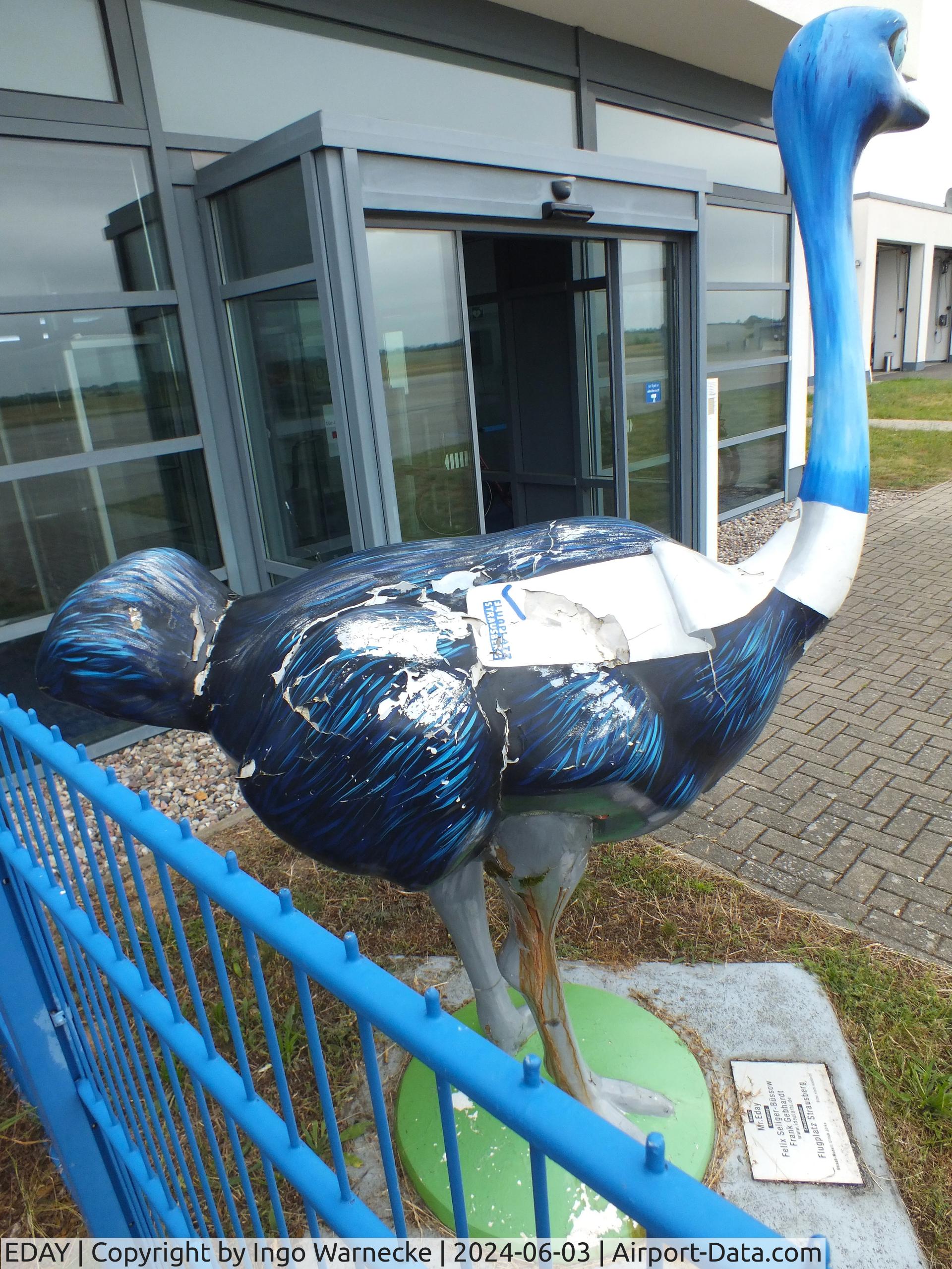 EDAY Airport - Mr. EDAY ostrich skulpture (hoping for a new coat of paint) at Strausberg airfield
